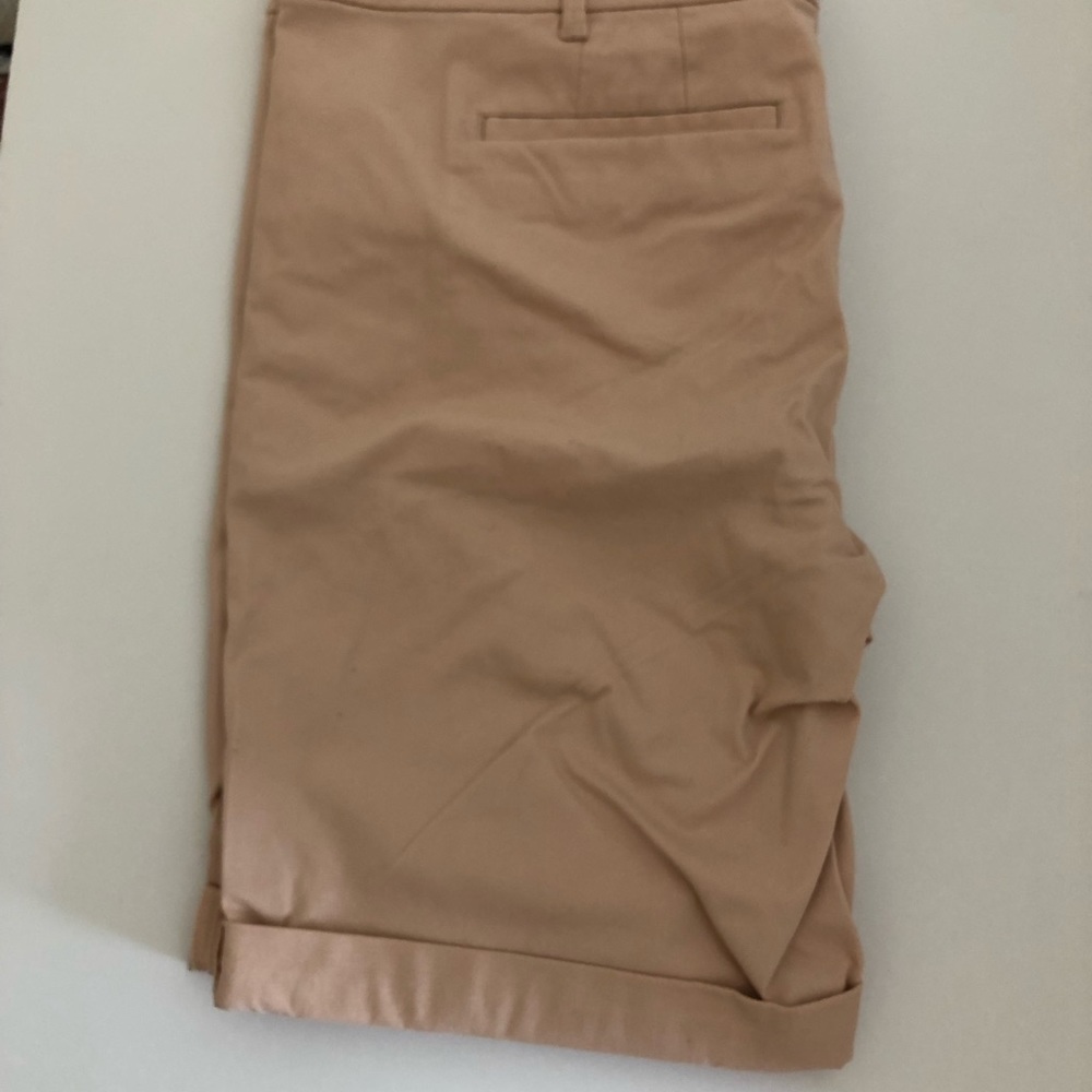 Blush Loft Bermuda shorts 14 NWT